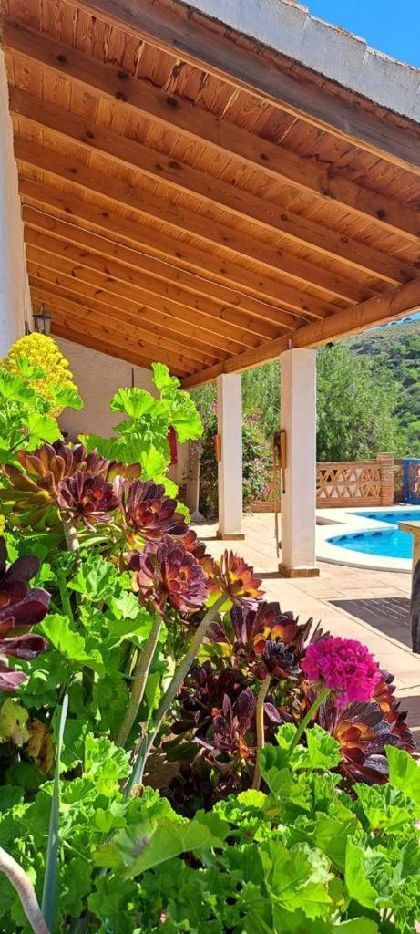 Peace And Tranquility At Montana Retreat Apartment Alora Cameră foto
